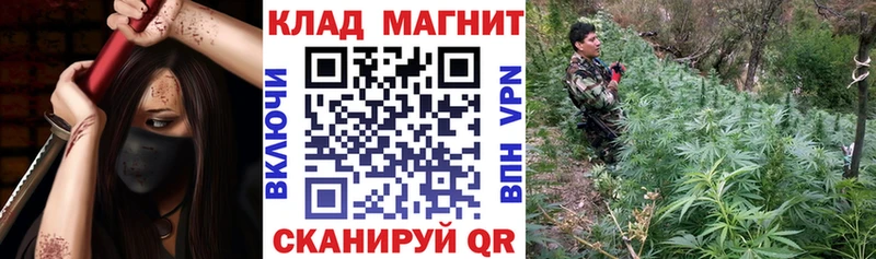 Наркошоп купить Амфетамин  Псилоцибиновые грибы  ГАШИШ  Бошки Шишки  КОКАИН  APVP  Меф  Дмитриев