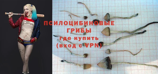 MDMA Каменка