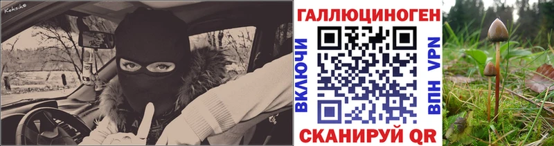 Купить закладки  Дмитриев  Галлюциногенные грибы GOLDEN TEACHER 
