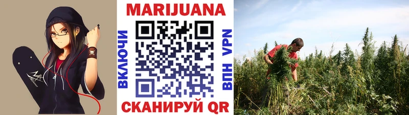 Купить где  Дмитриев  Каннабис White Widow 